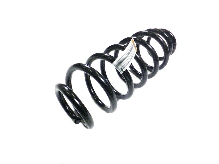 SPRING REAR COIL