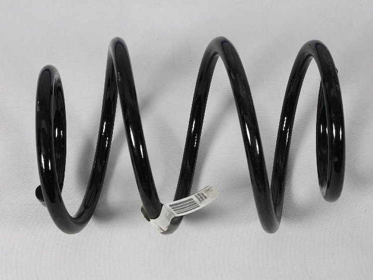 SPRING REAR COIL