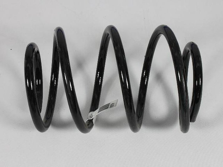 SPRING REAR COIL