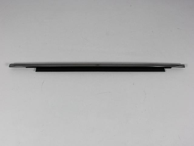 W/STRIP REAR DOOR BELT