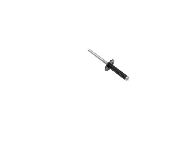 RIVET
