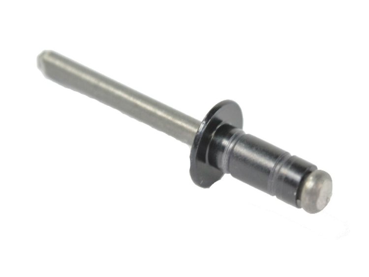 RIVET
