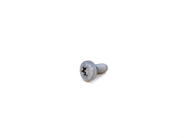 SCREW PAN HEAD