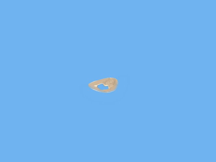 NUT SPRING