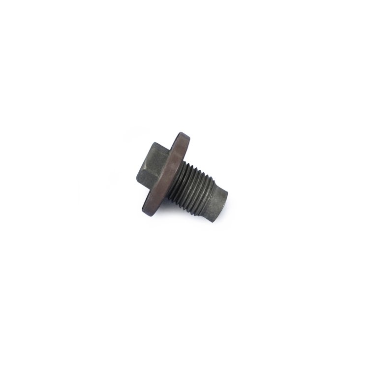 SCREW OIL DRAIN
