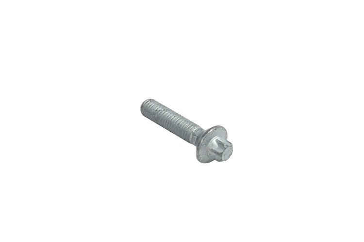 SCREW 6 LOBED
