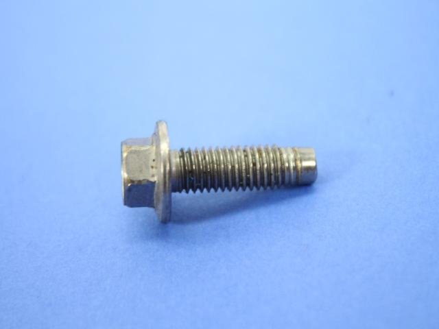 SCREW HEX FLANGE HEAD