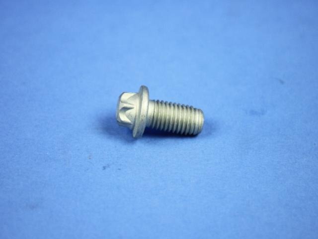 SCREW 6 LOBE