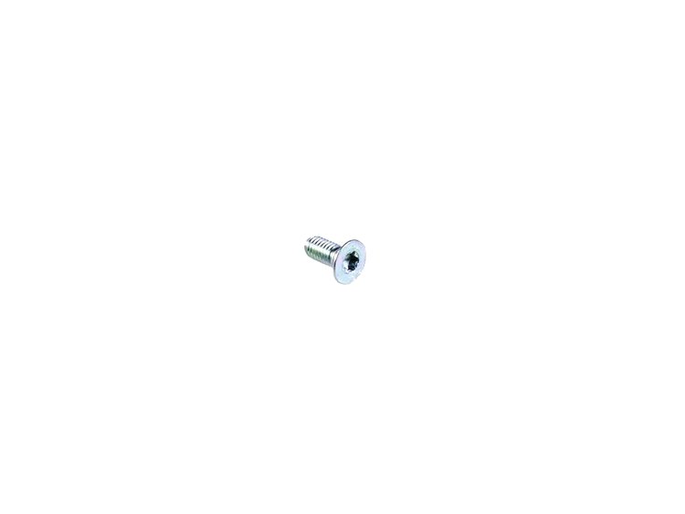 SCREW TORX FLANGE HEAD