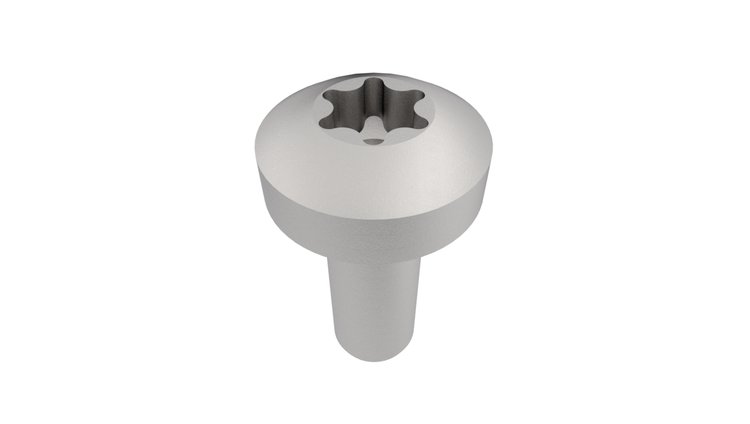 BOLT TORX HEAD