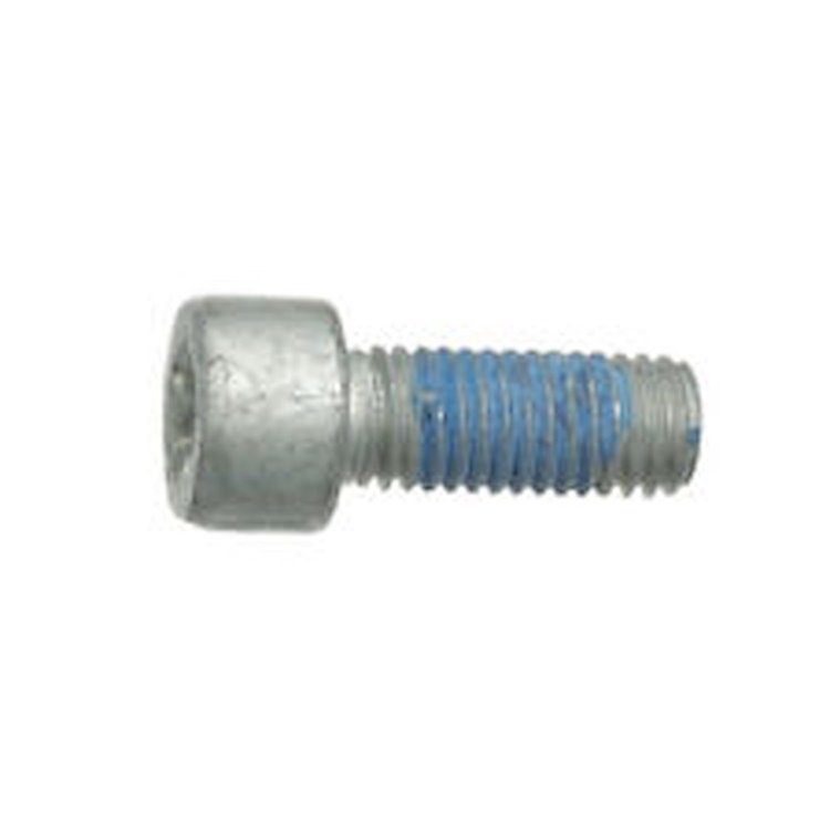 Mounting Bolt