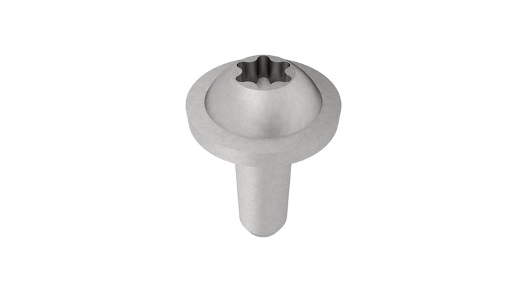 SCREW 6 LOBE
