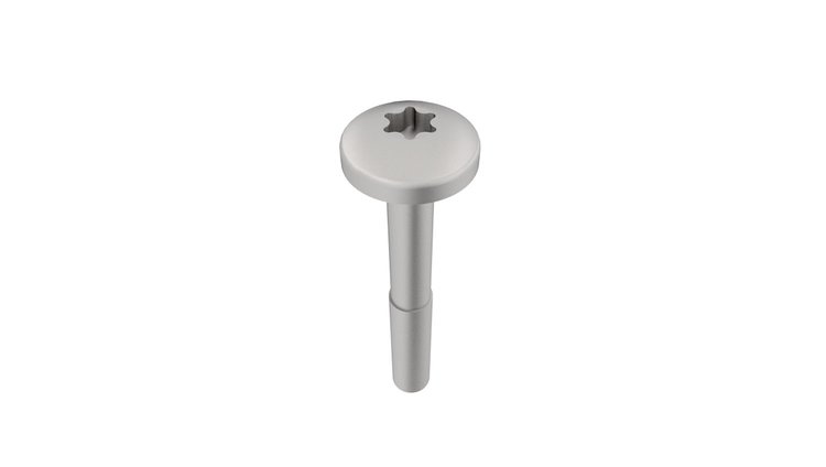 SCREW PAN HEAD