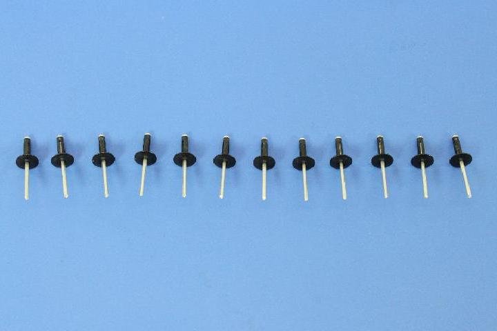 RIVET BLIND BULB