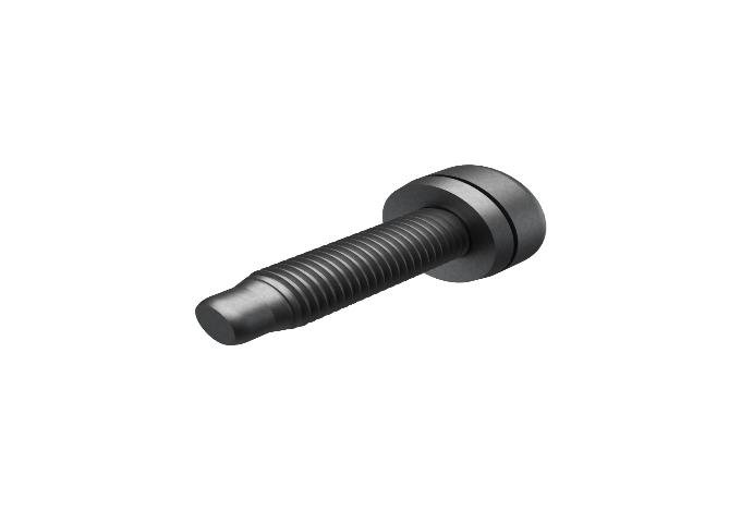 SCREW TORX