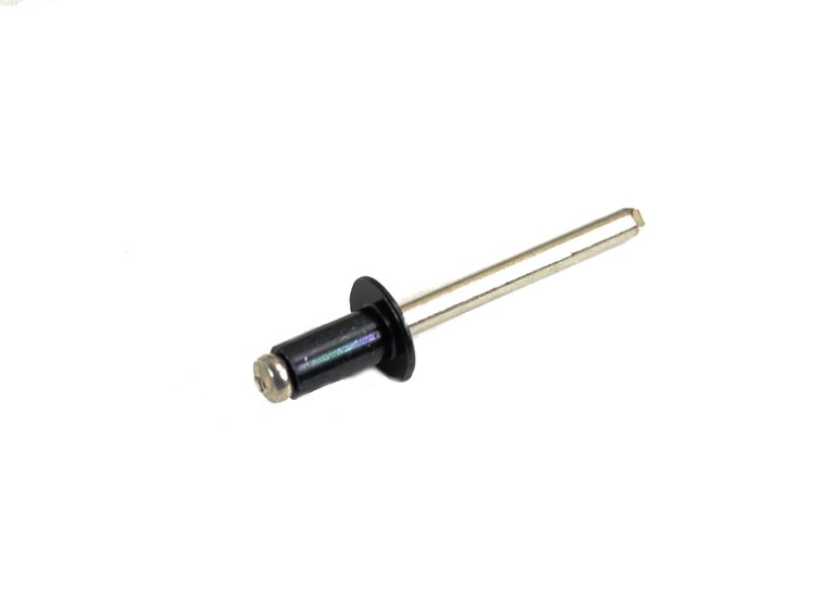 RIVET