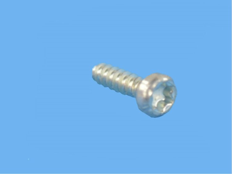 SCREW TORX HEAD