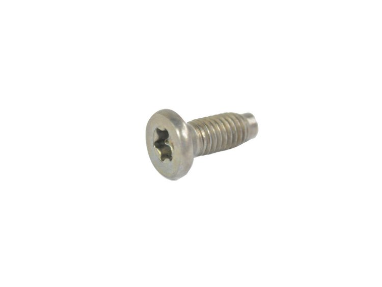 SCREW TORX