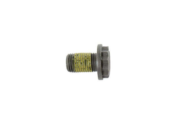 BOLT 12 POINT HEAD
