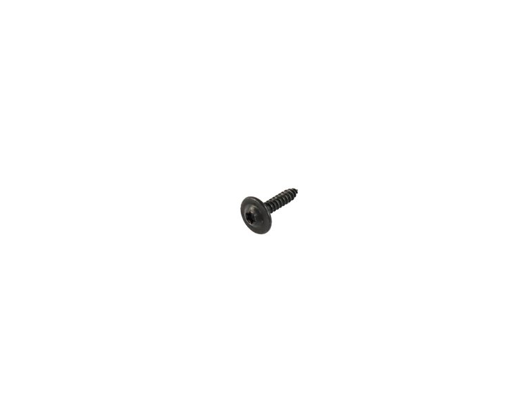SCREW TORX HEAD