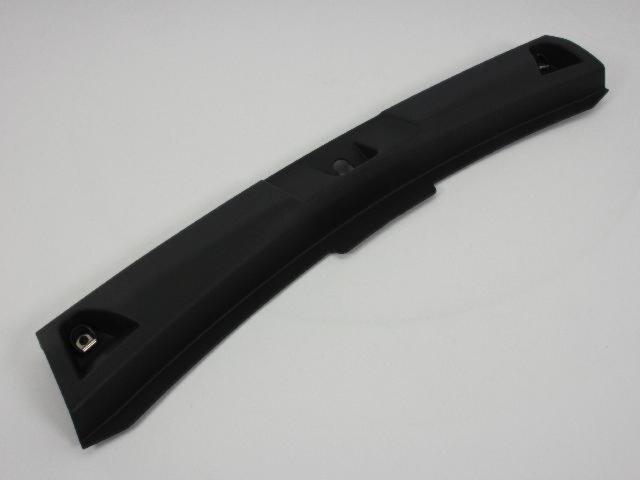 MOLDING REAR DOOR SCUFF