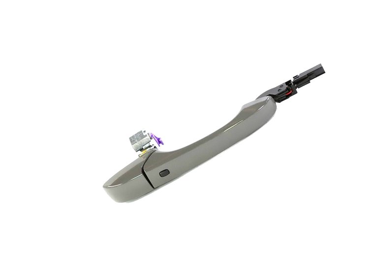 HANDLE EXTERIOR DOOR