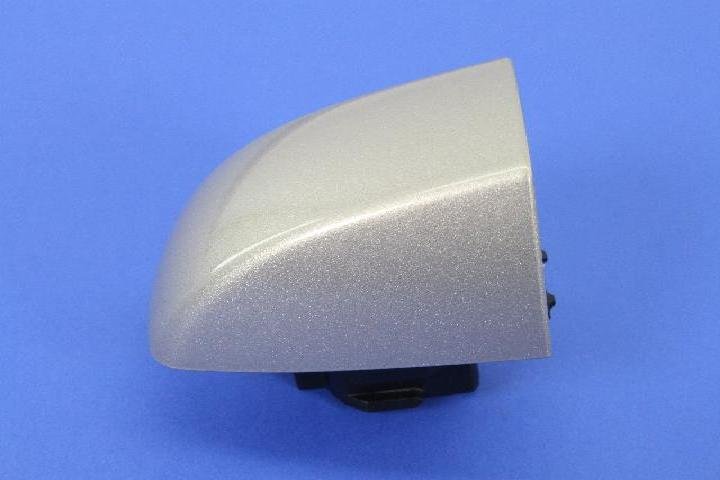 CAP DOOR HANDLE