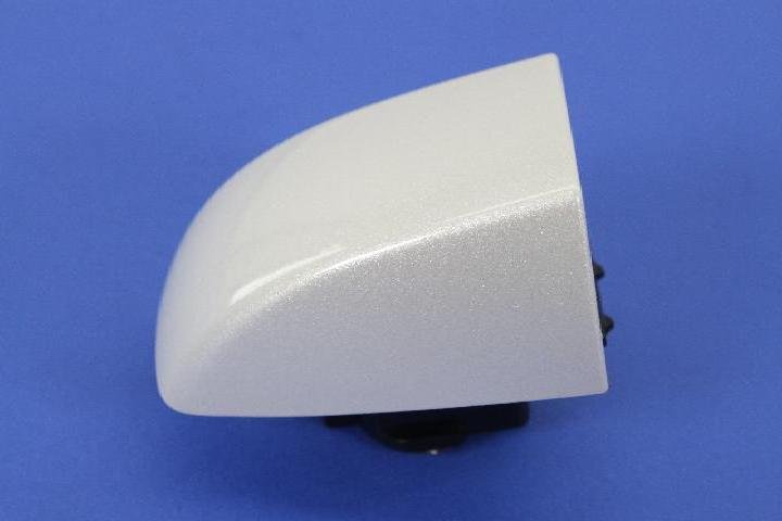 CAP DOOR HANDLE