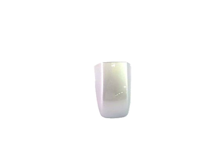 CAP DOOR HANDLE