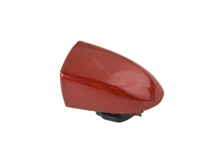 CAP DOOR HANDLE