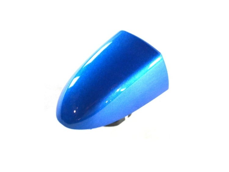 CAP DOOR HANDLE