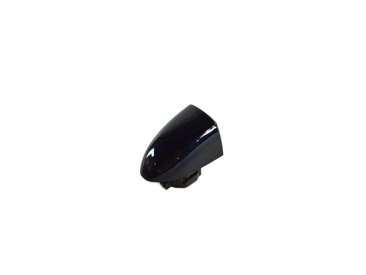 CAP DOOR HANDLE