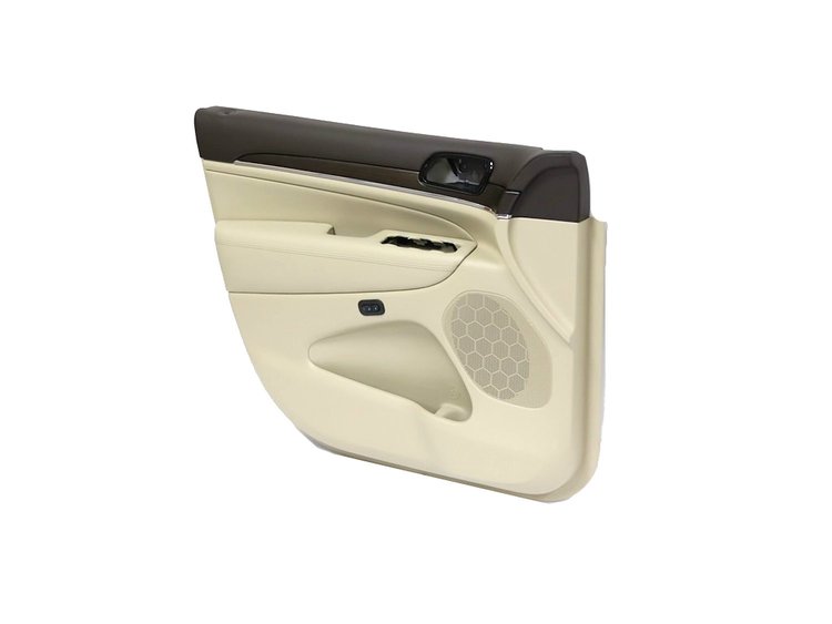 PANELASSY FRONT DOOR TRIM