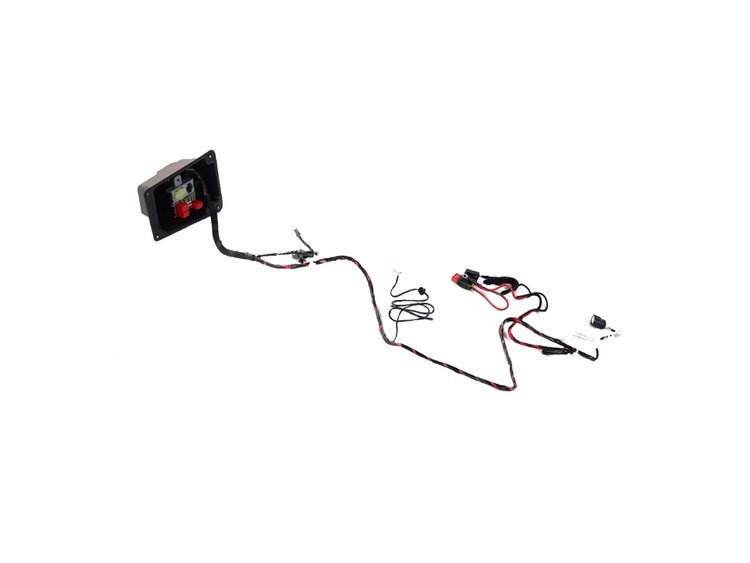 WIRING BODY