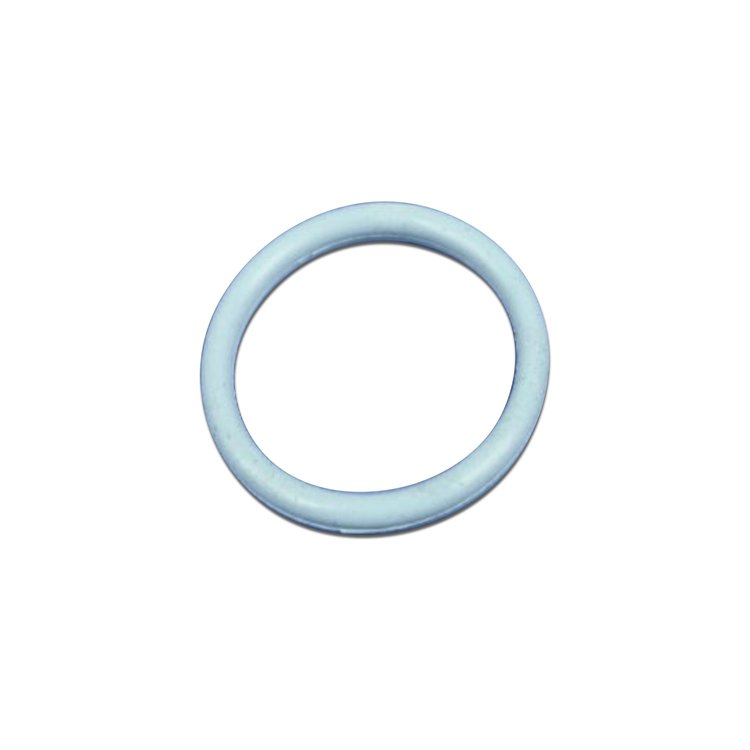 O RING CHAIN CASE COVER
