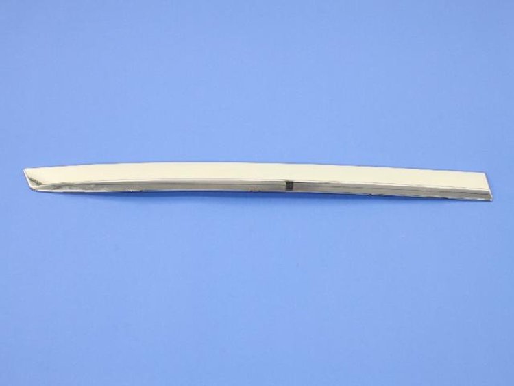 MOLDING REAR DOOR