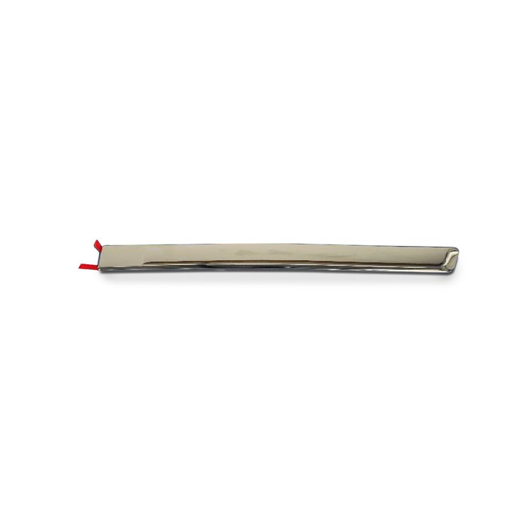MOLDING REAR DOOR