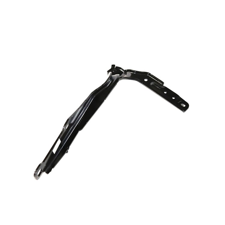 HINGE HOOD