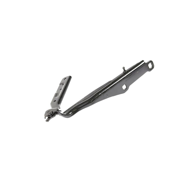 HINGE HOOD