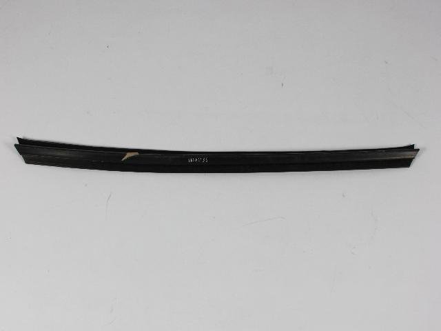 W/STRIP FRONT DOOR BELT