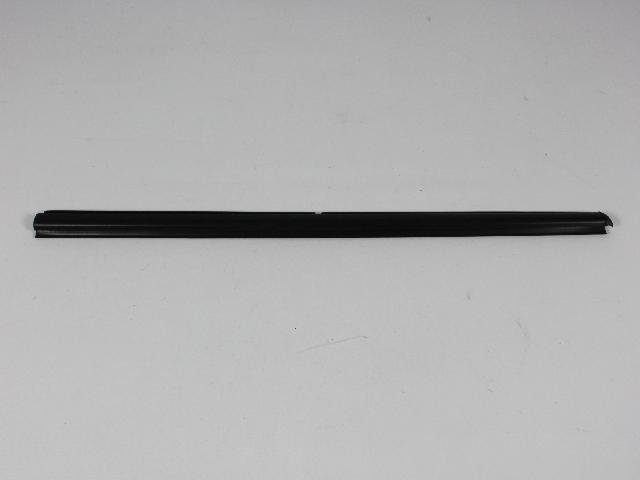 W/STRIP FRONT DOOR BELT