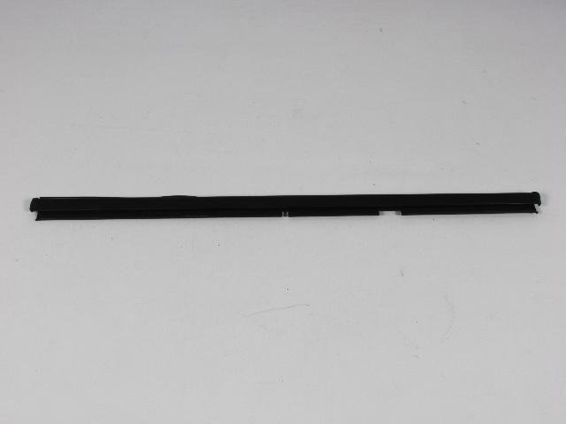 W/STRIP REAR DOOR BELT