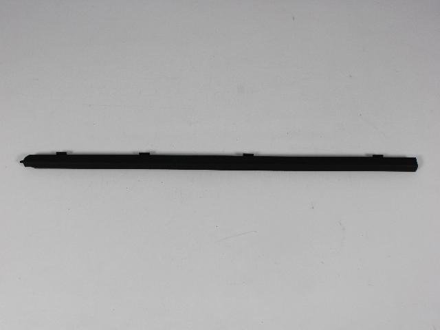 W/STRIP DOOR BELT