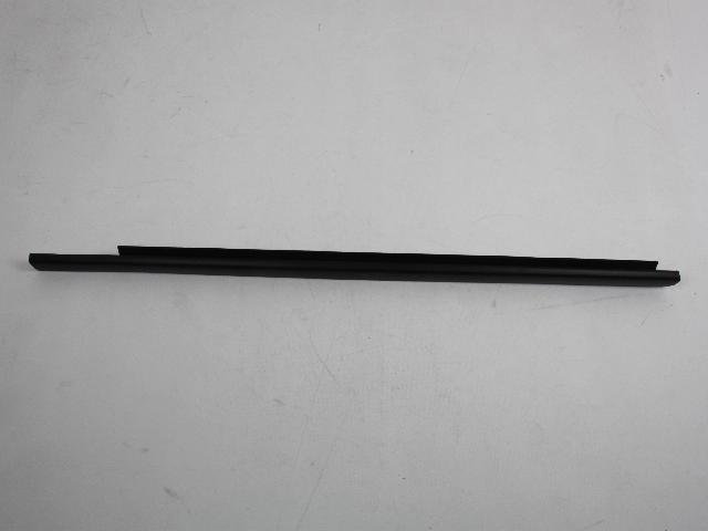 W/STRIP DOOR BELT