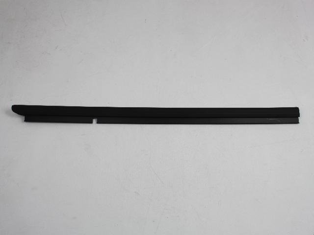 W/STRIP DOOR BELT