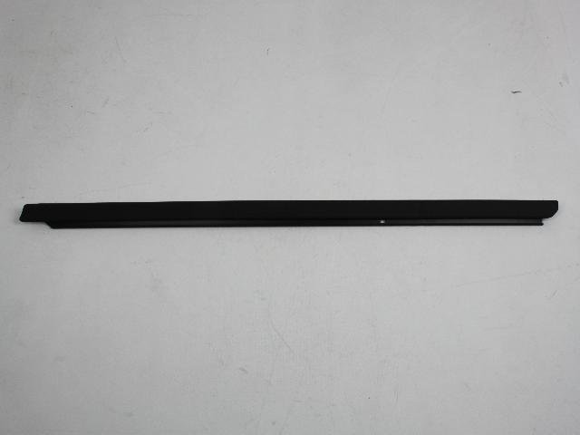 W/STRIP RR DOOR BELT OUTR