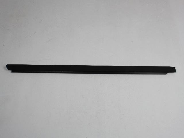 W/STRIP RR DOOR BELT OUTR