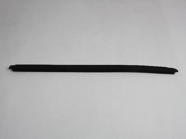 W/STRIP DOOR BELT OUTER