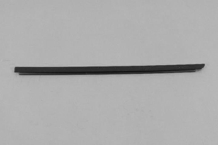 W/STRIP DOOR BELT OUTER