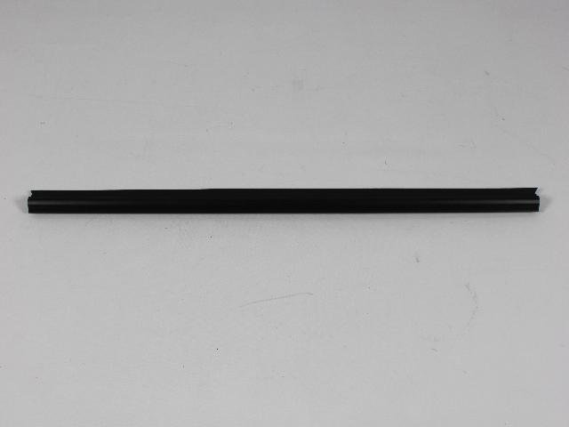 W/STRIP DOOR BELT INNER